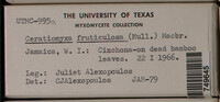 Image Associated With the Occurence